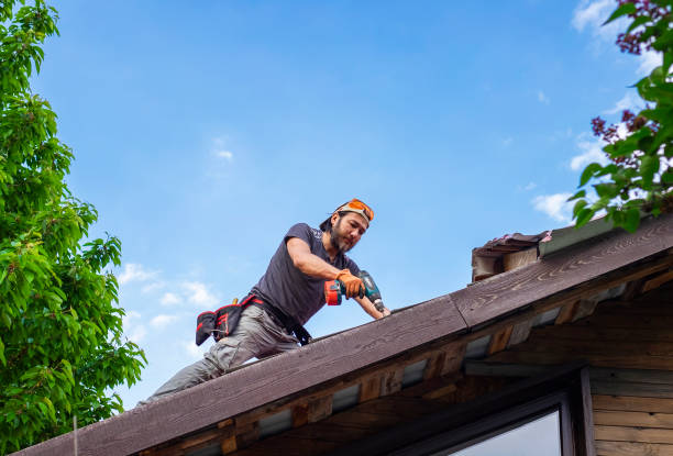 Best Skylight Installation and Repair  in Acworth, GA